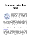 Bên trong màng bao nano