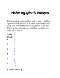 Nhóm nguyên tố Halogen