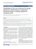 Báo cáo toán học: "  Optimisation of the use of biomass for energy production (Optimierung der energetischen Biomassenutzung)–a funding programme introduces itself"