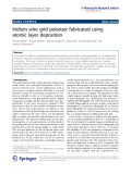 Báo cáo hóa học: "   Iridium wire grid polarizer fabricated using atomic layer deposition"