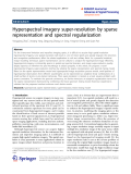 Báo cáo hóa học: "Hyperspectral imagery super-resolution by sparse representation and spectral regularization"