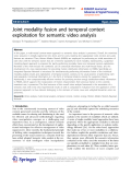 Báo cáo hóa học: "Joint modality fusion and temporal context exploitation for semantic video analysis"