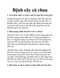 Bệnh cây cà chua