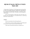 BỆNH LÊ DẠNG TRÙNG Ở TRÂU TRÂU BÒ