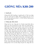 GIỐNG MÍA K88-200