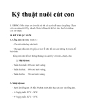 Kỹ thuật nuôi cút con