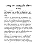 Trồng trọt không cần đất và nắng