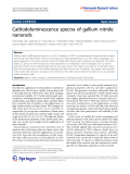 Báo cáo hóa học: "  Cathodoluminescence spectra of gallium nitride nanorods"