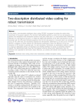 Báo cáo hóa học: "   Two-description distributed video coding for robust transmission"