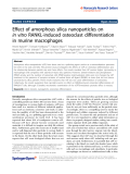 Báo cáo hóa học: "  Effect of amorphous silica nanoparticles on in vitro RANKL-induced osteoclast differentiation in murine macrophages"