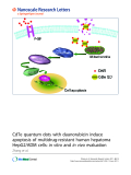 Báo cáo hóa học: " CdTe quantum dots with daunorubicin induce apoptosis of multidrug-resistant human hepatoma HepG2/ADM cells: in vitro and in vivo evaluation"