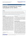 Boutinguiza et al. Nanoscale Research Letters 2011, 6:255