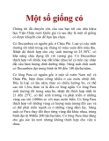 Một số giống cỏ