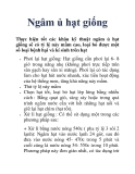 Ngâm ủ hạt giống