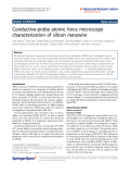 Báo cáo hóa học: "  Conductive-probe atomic force microscopy characterization of silicon nanowire"