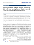 Báo cáo hóa học: " Prolate spheroidal hematite particles equatorially belt with drug-carrying layered double hydroxide disks: Ring Nebula-like nanocomposites"