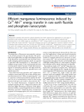 Báo cáo hóa học: "  Efficient manganese luminescence induced by Ce3+-Mn2+ energy transfer in rare earth fluoride and phosphate nanocrystals"