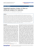 Báo cáo hóa học: "  Supported quantum clusters of silver as enhanced catalysts for reduction"