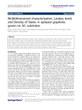 Báo cáo hóa học: " Multidimensional characterization, Landau levels and Density of States in epitaxial graphene grown on SiC substrates"