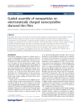 Báo cáo hóa học: "  Guided assembly of nanoparticles on electrostatically charged nanocrystalline diamond thin films"