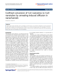 Báo cáo hóa học: " Confined conversion of CuS nanowires to CuO nanotubes by annealing-induced diffusion in nanochannels"