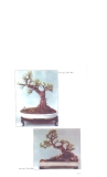 Nghệ thuật Bonsai, cây cảnh part 2