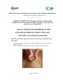 Báo cáo khoa học nông nghiệp: SMALL-MEDIUM ENTERPRISES IN THE LIVESTOCK FEED SECTOR IN VIETNAM (VOLUME I)