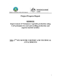 Báo cáo khoa học nông nghiệp " Improvement of Vietnamese vegetable production using GAP principles for seed and seedling production and superior hybrid varieties " MS4