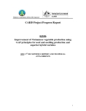 Báo cáo giai đoạn: Improvement of Vietnamese vegetable production using GAP principles for seed and seedling production and superior hybrid varieties (MS5)