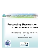 Báo cáo khoa học nông nghiệp " Processing, Preservation and Wood from Plantations "