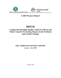 Báo cáo khoa học nông nghiệp " Commercial and High Quality Cultivars of Root and Tuber Crops for Processing Purpose in the Northern and Central Vietnam " MS6