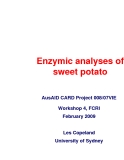 Báo cáo khoa học nông nghiệp " Enzymic analyses of sweet potato "