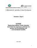 Báo cáo: Replacing fertiliser N with rhizobial inoculants for legumes in Vietnam for greater farm profitability and environmental benefits