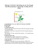 Sinh học 11 bài 10,11 Ảnh hưởng của các yếu tố ngoại cảnh đển quang hợp và quang hợp với năng suất cây trồng