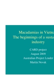 Macadamias in Vietnam The beginnings of a sustainable industry