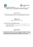 Collaboration for Agriculture & Rural Development:" Field evaluation and advanced vegetative mass-propagation technology for scaling up high-value plantations of Pinus caribaea and related hybrids in Vietnam - Milestone 4"