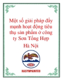 Một số giải pháp đẩy mạnh hoạt động tiêu thụ sản phẩm ở công  ty Sơn Tổng Hợp Hà Nội