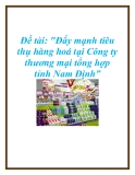 Đề tài: "Đẩy mạnh tiêu thụ hàng hoá tại Công ty thương mại tổng hợp tỉnh Nam Định”