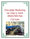 Giải pháp Marketing tại công ty trách nhiệm hữu hạn Cát Lâm