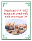 Ứng dụng MAR- MIX trong kinh doanh xuất  khẩu của công ty 20