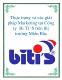 Thực trạng và các giải pháp Marketing tại Công ty  Bi Ti ‘S trên thị trường Miền Bắc