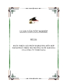 Đề tài : “Hoàn thiện giải pháp marketing hỗn hợp nhằm phát triển thị trường nước khoáng của công ty TNHH Sana”