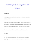 Cách trồng chuối cho năng suất và chất lượng cao