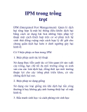 IPM trong trồng trọt