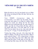 VIÊM PHẾ QUẢN TRUYỀN NHIỄM Ở GÀ