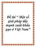 Đề tài: Một số giải pháp đẩy mạnh xuất khẩu gạo ở Việt Nam