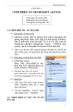 Tài liệu Microsoft Access 2003