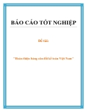 Đề tài: Hoàn thiện bảng cân đối kế toán Việt Nam