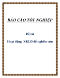 Đề tài: Hoạt động  XKLĐ để nghiên cứu