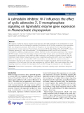 báo cáo hóa học:" A calmodulin inhibitor, W-7 influences the effect of cyclic adenosine 3’, 5’-monophosphate signaling on ligninolytic enzyme gene expression in Phanerochaete chrysosporium"